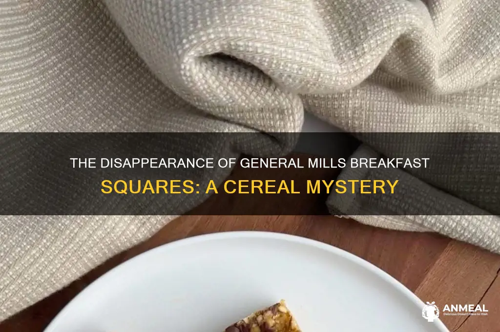 what happened to general mills breakfast squares