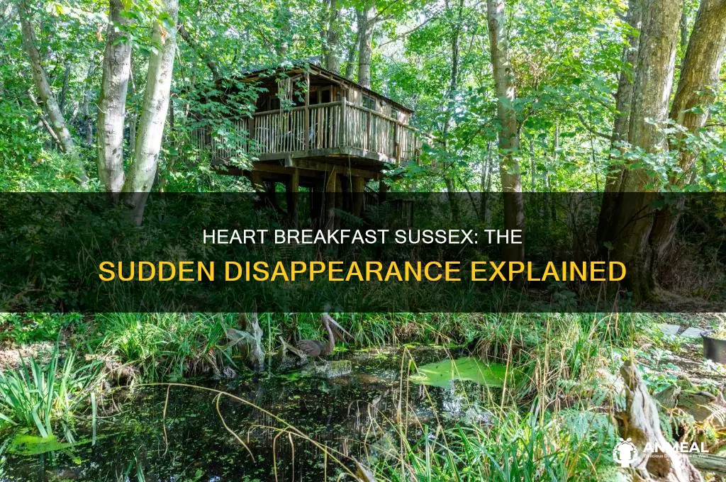 what happened to heart breakfast sussex