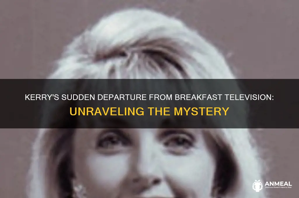 what happened to kerry on breakfast television