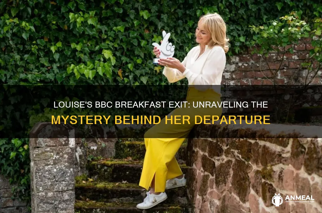 what happened to louise on bbc breakfast
