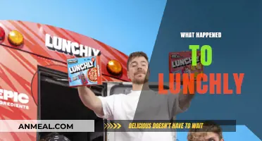 The Rise and Fall of Lunchly: A Food Delivery Tale