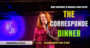 Michelle Wolf's Post-Correspondents Dinner Career: Rise or Fall?