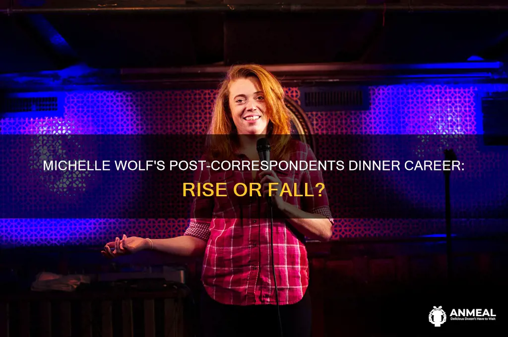 what happened to michelle wolf after the correspondents dinner