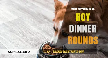 What Happened to Ol' Roy Dinner Rounds: A Brand's Disappearance