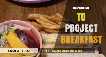 The Rise and Fall of Project Breakfast: What Went Wrong?