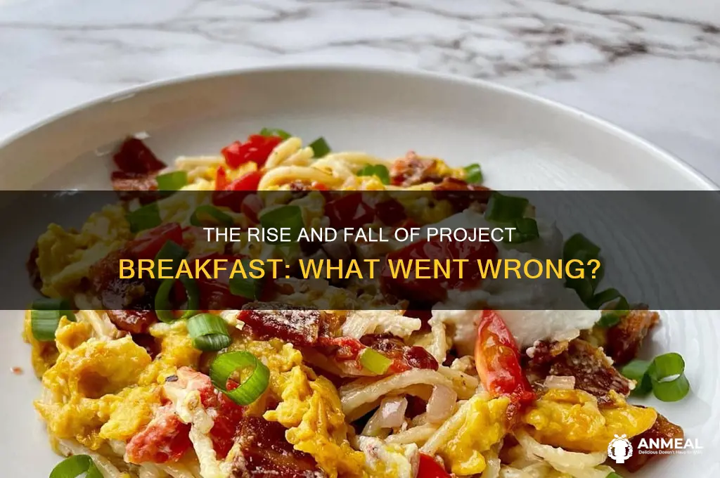 what happened to project breakfast