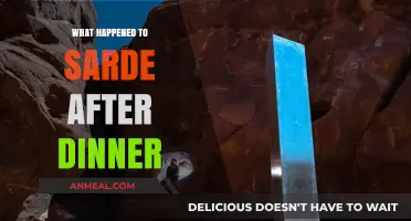 Sarde's Mysterious Disappearance: Unraveling the Post-Dinner Enigma