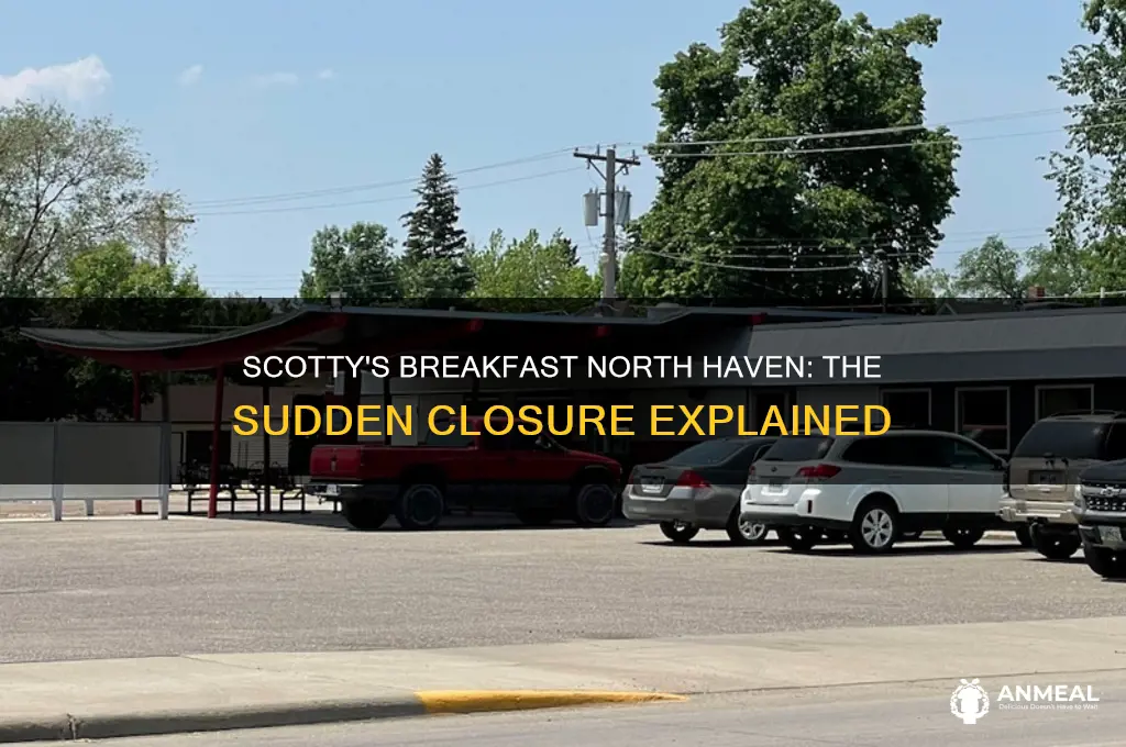 what happened to scotty