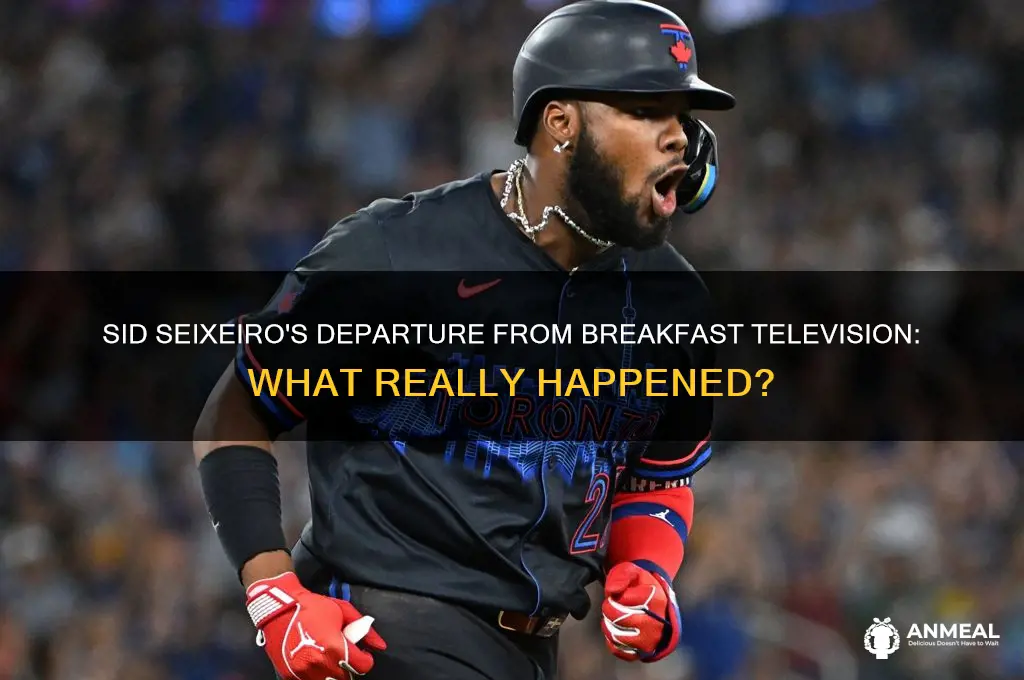 what happened to sid seixeiro on breakfast television