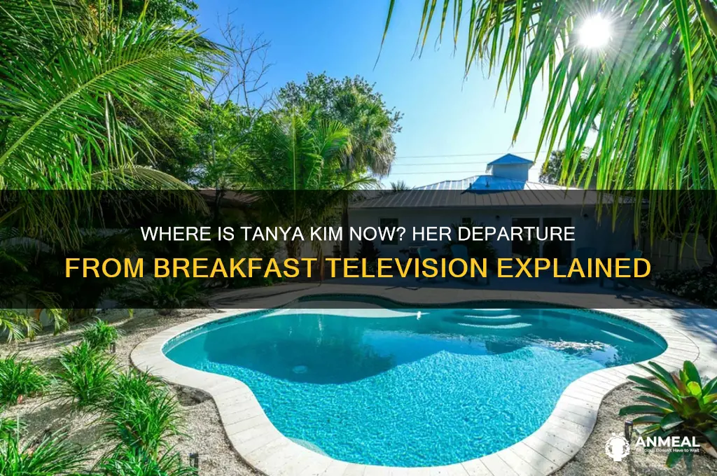 what happened to tanya kim from breakfast television