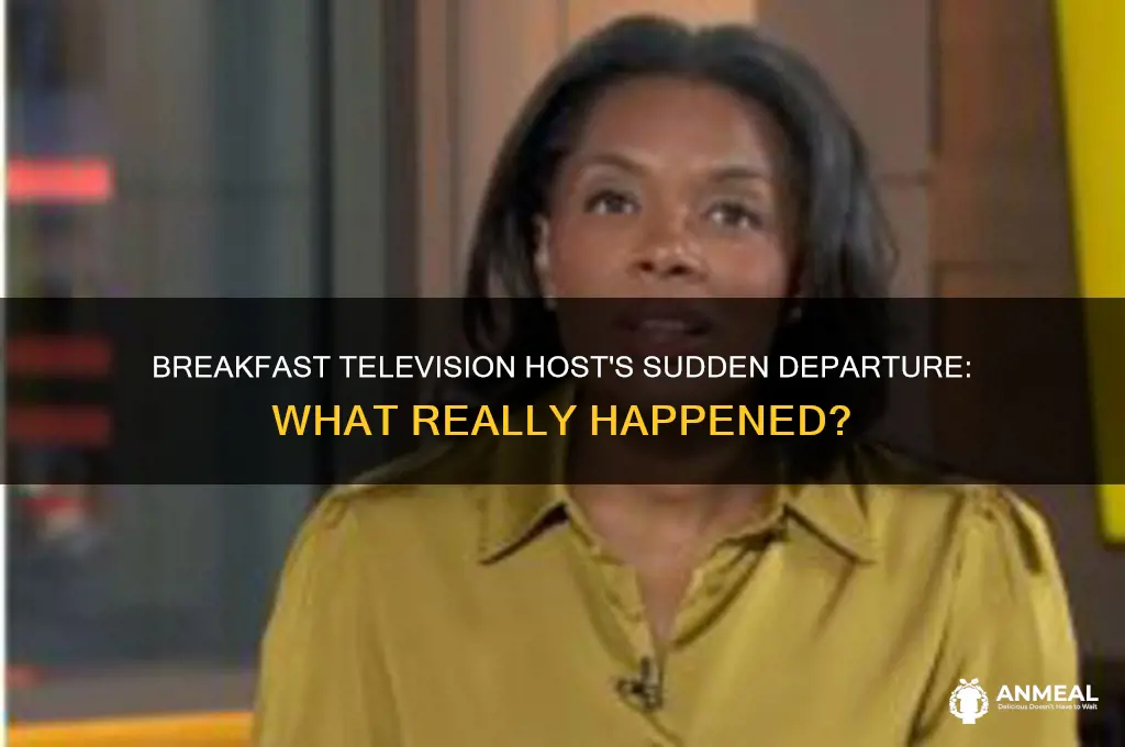 what happened to the host of breakfast television