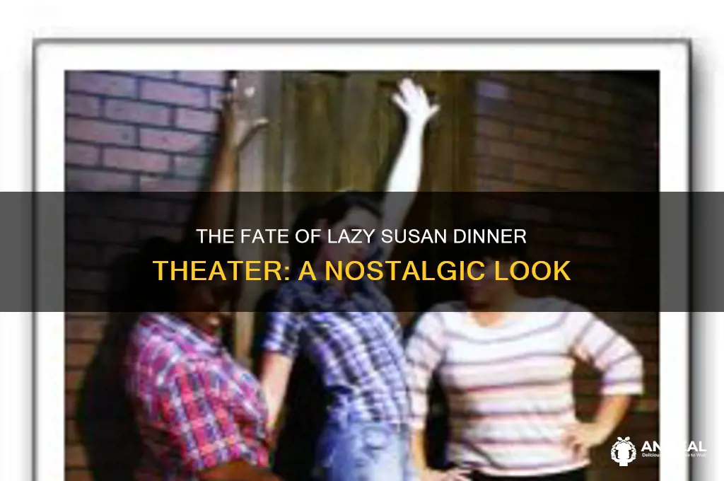 what happened to the lazy susan dinner theater