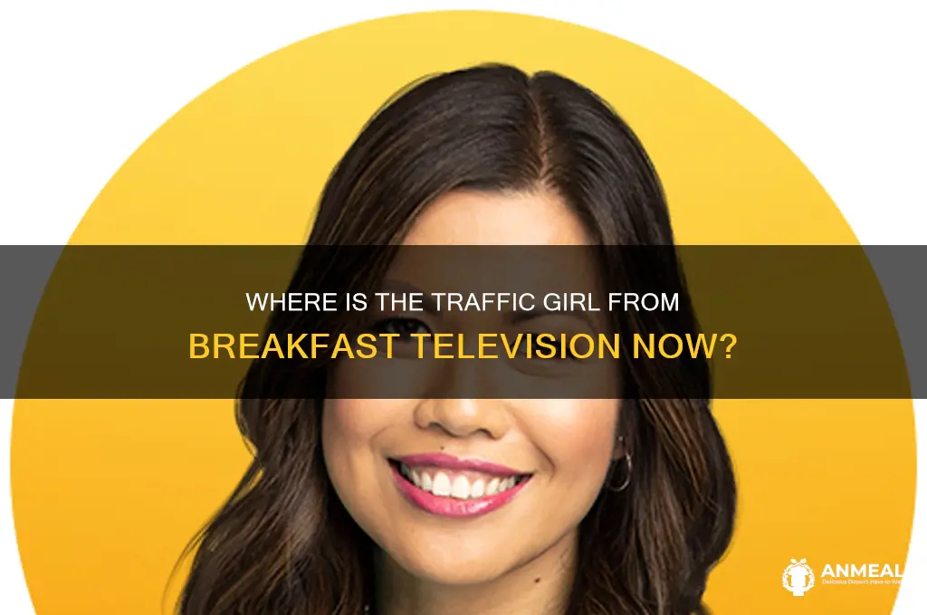 what happened to the traffic girl on breakfast television