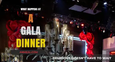 Elegant Evenings: Unveiling the Magic of Gala Dinner Experiences