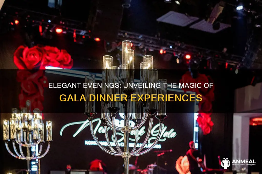 what happens at a gala dinner