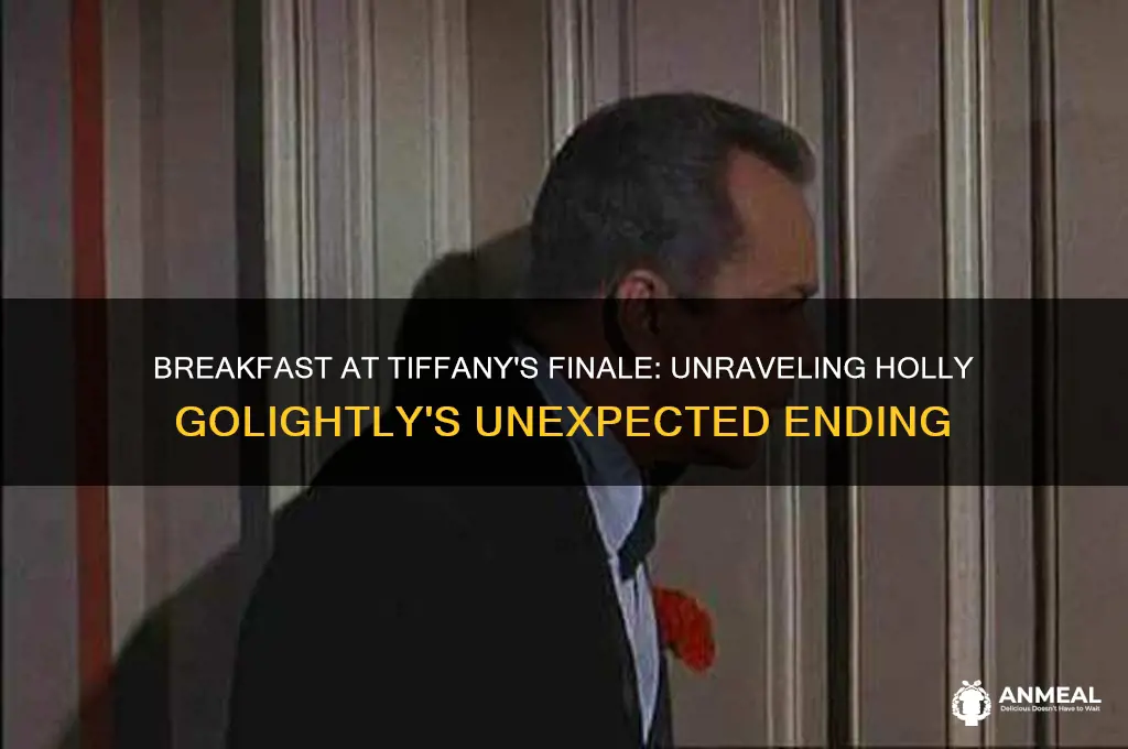 what happens at the end of breakfast at tiffany