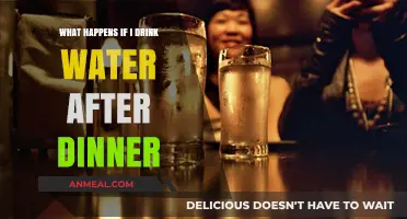Drinking Water After Dinner: Benefits, Myths, and Digestive Effects Explained