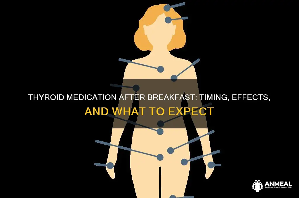 what happens if i take thyroid medicine after breakfast