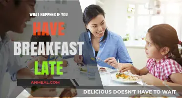 Late Breakfast Effects: Impact on Metabolism, Energy, and Daily Health