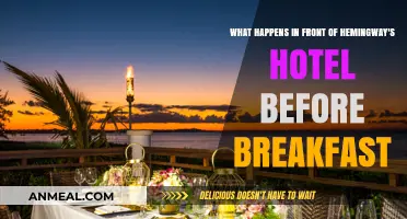 Sunrise Scenes: Hemingway's Hotel Pre-Breakfast Bustle Unveiled