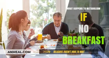 Skipping Breakfast: How It Impacts Your Metabolism and Energy Levels