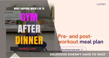 Post-Dinner Gym Sessions: Benefits, Risks, and Best Practices Explained
