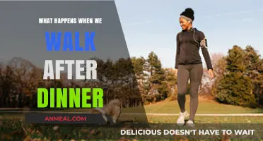 Post-Dinner Stroll: Unlocking Digestive Benefits and Evening Wellness