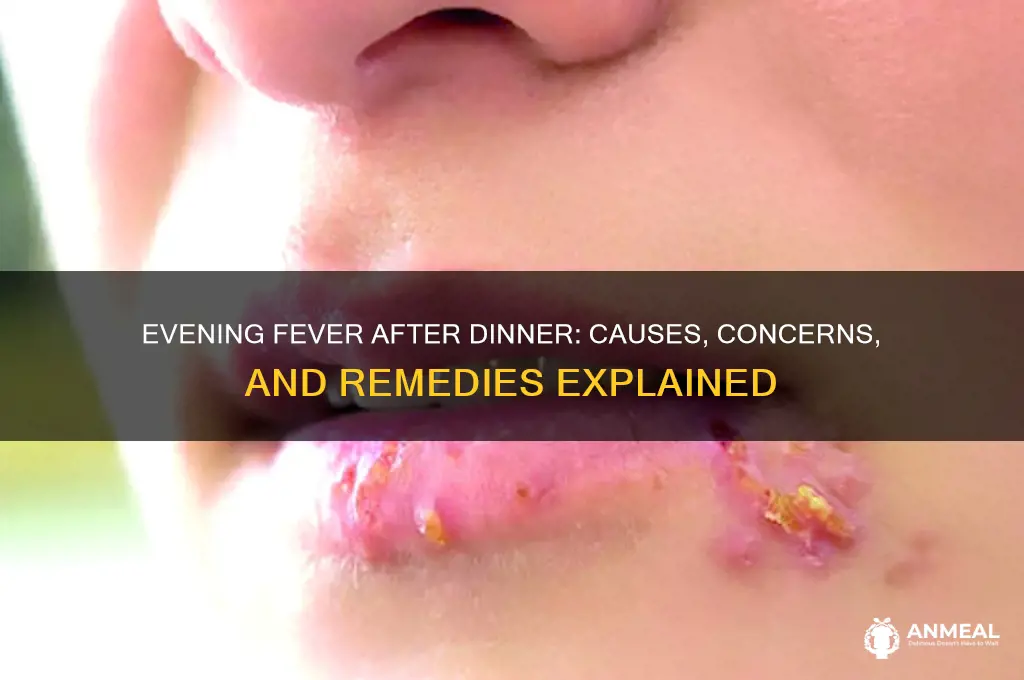 what happens when you get fever every night after dinner