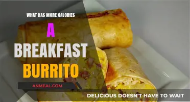 Breakfast Burrito Calories: Surprising Facts About Your Morning Meal