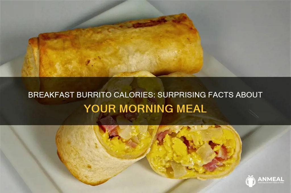 what has more calories a breakfast burrito