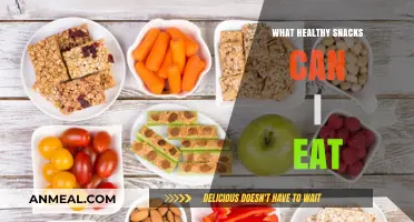 Nourish Your Cravings: Healthy Snacks to Satisfy Any Appetite