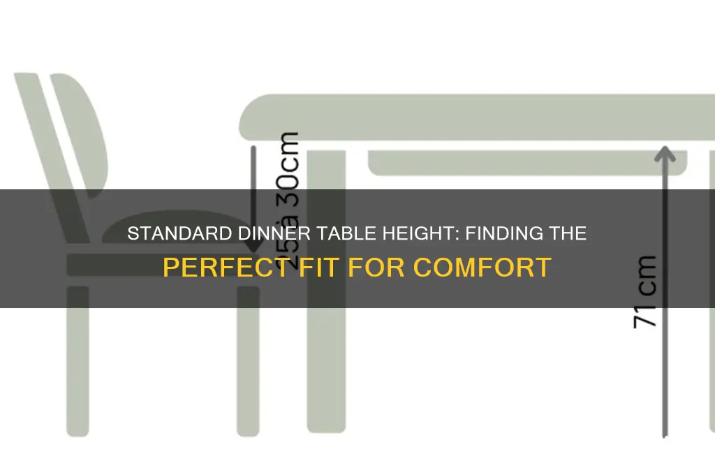 what heigth is the average dinner table