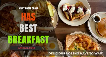 Top Hotel Chains Serving the Best Breakfasts for Travelers