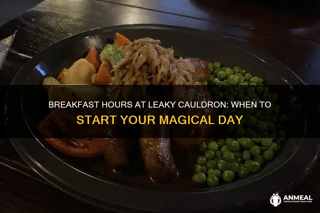 what hours are breakfast in leaky cauldron