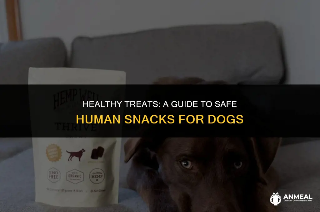 what human snacks can dogs eat