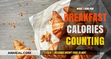 My Breakfast Calorie Count: A Detailed Look at Today's Meal