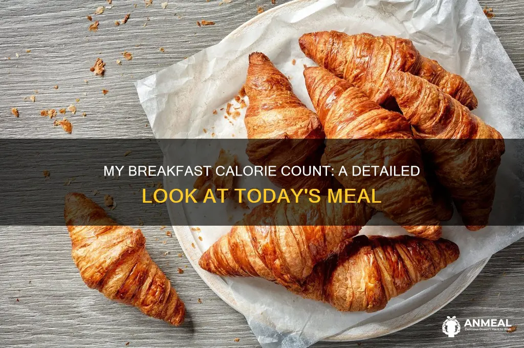 what i had for breakfast calories counting