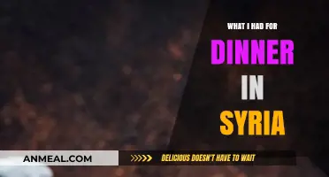 A Taste of Syria: My Authentic Dinner Experience in Damascus
