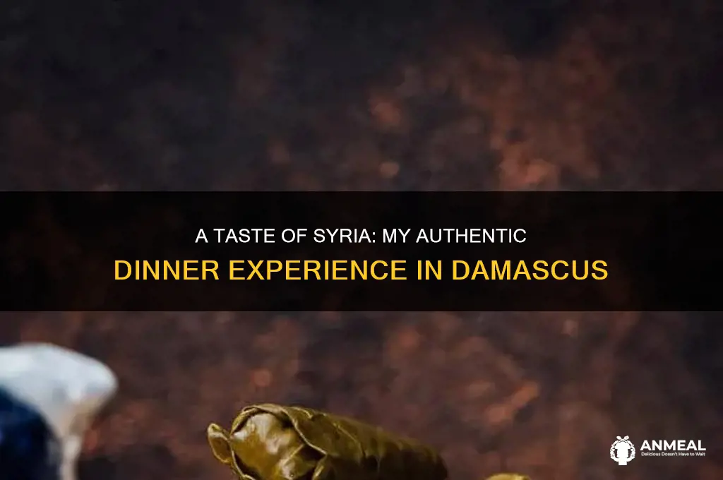 what i had for dinner in syria
