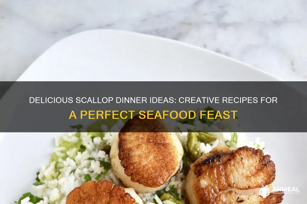 what ideas for a scallop dinner