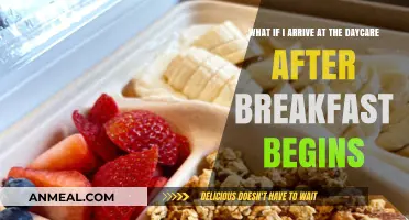 Late to Daycare? Navigating Breakfast Time with Your Child