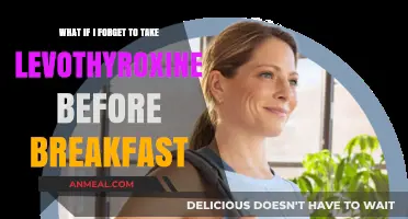 Forgot Levothyroxine Before Breakfast? What to Do Next