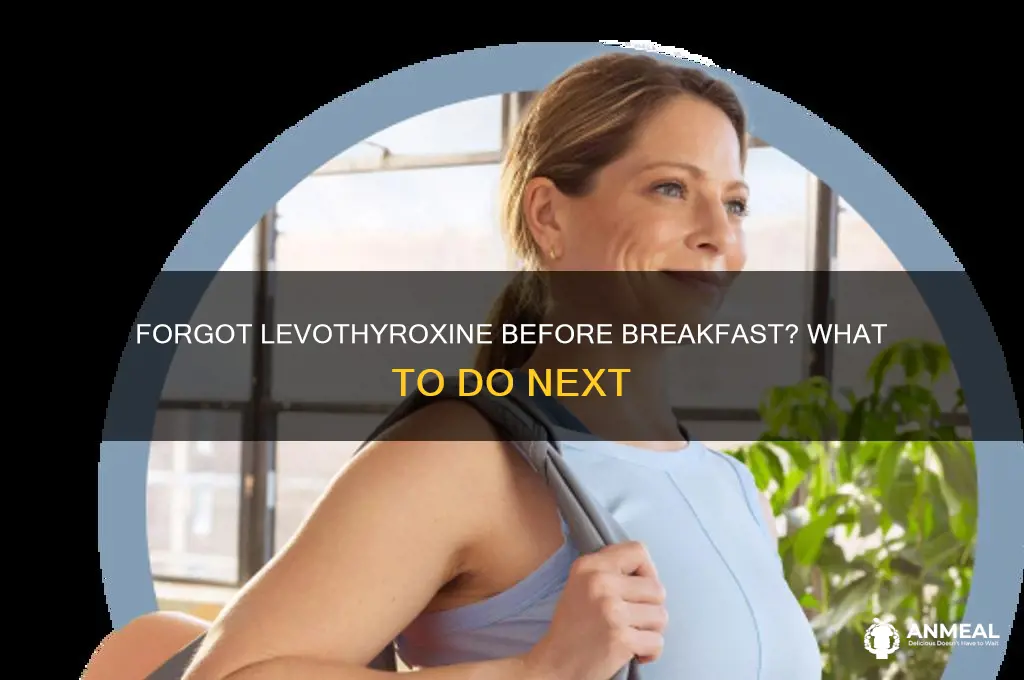 what if i forget to take levothyroxine before breakfast