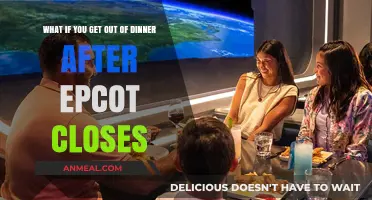 Late-Night Dining Options Near Epcot After Park Closure