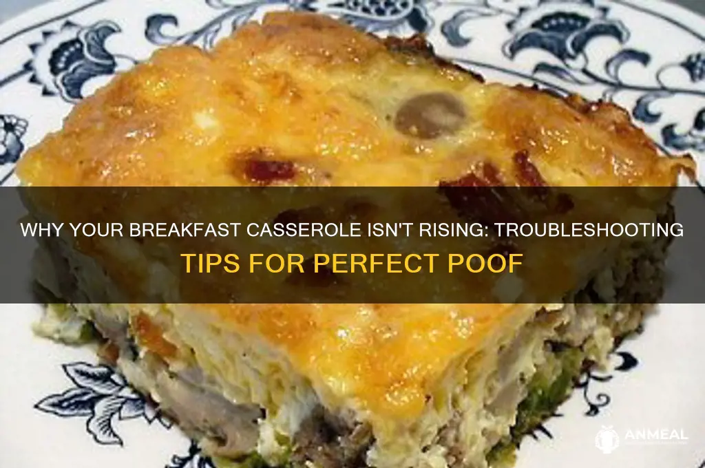 what if your breakfast casserole doen