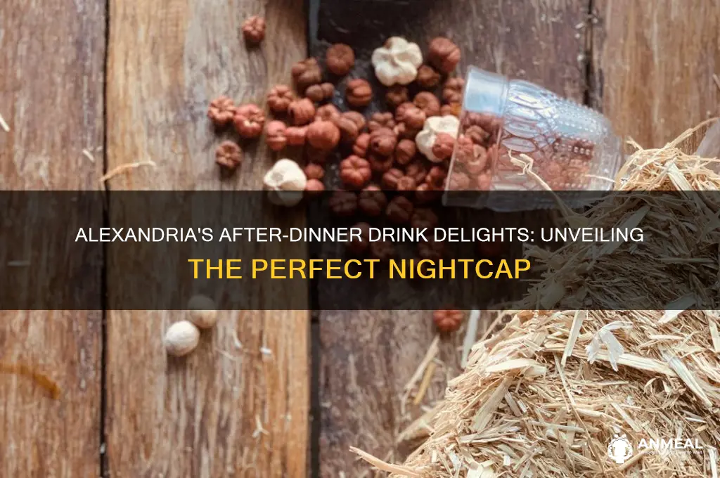 what in the after dinner drink alexandria