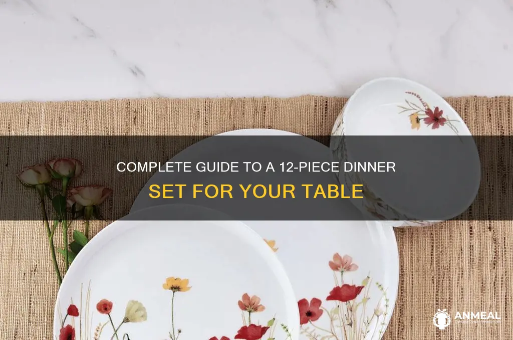what is a 12 piece dinner set