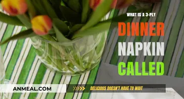 Understanding the Name of a 3-Ply Dinner Napkin: A Quick Guide