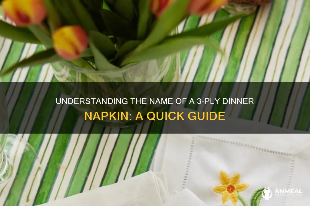 what is a 3-ply dinner napkin called