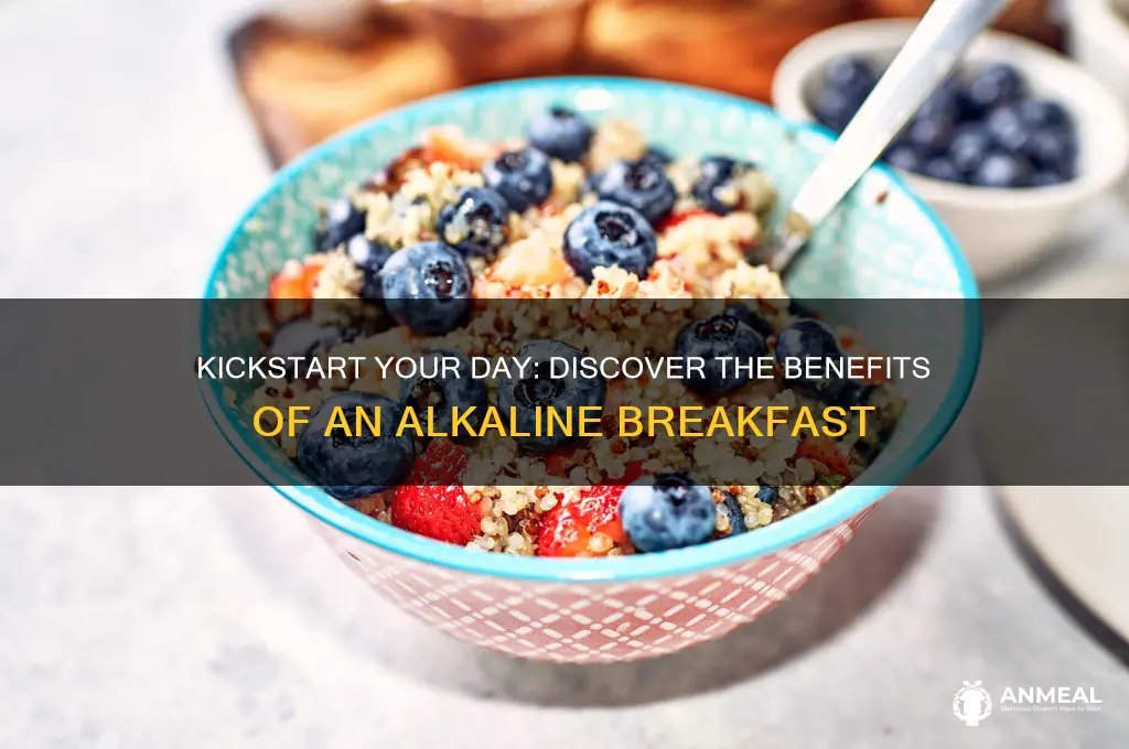 what is a alkaline breakfast